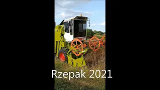 Claas Mercator 60 Żniwa Rzepak 2021