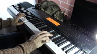 Hachiko - Goodbye. Cat Sleeps Comfortably Over Piano