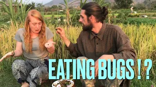 Eating BUGS in Asia!! - (Making My Wife Eat Bugs) Luang Prabang |Travel Laos 2021|