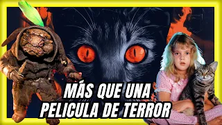 EL OJO DEL GATO de STEPHEN KING (1985) Resumen y curiosidades