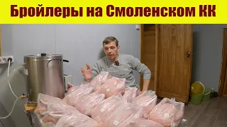 Выращивание бройлеров на Смоленском комбикорме! Результаты в 45 дней!