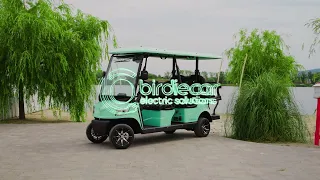 Birdie Cruize 6 | The Ultimate Electric Beach Shuttle for Tourism