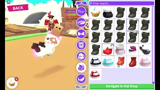opening a pet wear chest on adopt me roblox