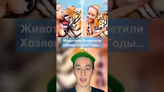 Животные Которые Встретились со Своими Хозяевами Спустя Много Лет!🥹 #shorts #животные  #обезьяна