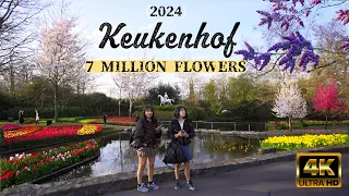 🇳🇱 Keukenhof 2024 | Netherlands The World's Biggest Flower Garden 🌷 4K HDR