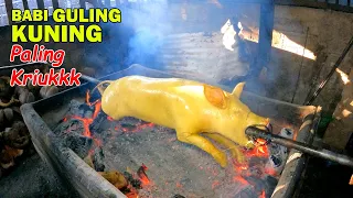 BABI GULING KUNING Paling Kriukkk