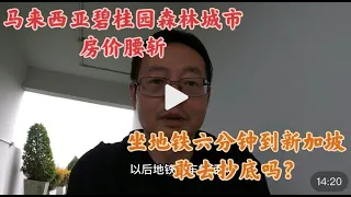 马来西亚碧桂园森林城市房价腰斩|坐地铁六分钟到新加坡 你敢去抄底吗？