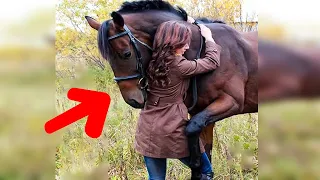 Horse Keeps Hugging Woman Then Vet Looks at Ultrasound, And Makes a Shocking Discovery