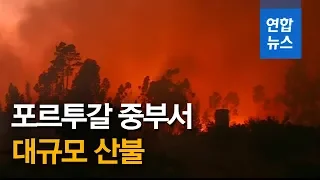 포르투갈 중부서 대규모 산불…"최소 20명 부상" / 연합뉴스 (Yonhapnews)