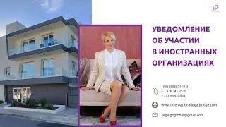 Уведомление о КИК, сроки подачи и куда подаётся декларация о КИК, какие документы надо приложить?