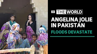 Angelina Jolie visits flood-hit Pakistan amid rapid spread of malaria and other diseases | The World