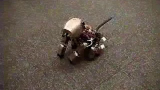 robot dog sony aibo prototype