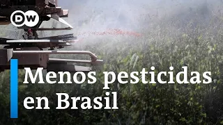 Los biopesticidas se abren camino en Brasil