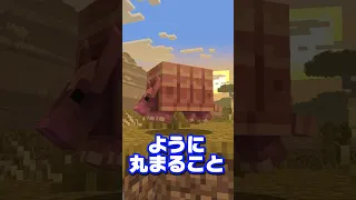 新モブのアルマジロが神すぎる！【マイクラ情報】