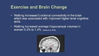 The Impact of Exercise on Cognitive Functioning