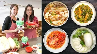 KIMCHI MUSEUM 🥢 Cooking Class in Seoul, South Korea