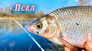 🎣 Відкрився по ПЛОТВІ 🐟🐟🐟 в секретному місці... 😉  Річка Псел. Рибалимо разом з Kruchkoff.