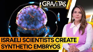 Gravitas: 'Artificial embryos' created in Israel | Does this change the idea of life?