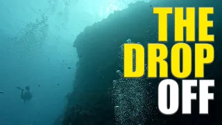 Awesome Shore Dives In BALI! The Drop Off & Coral Gardens 🇮🇩