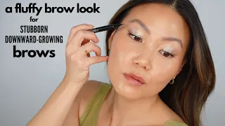 Fluffy Brows in Extreme Detail | Tips & Tricks for Stubborn Brows