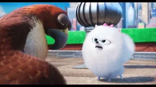 The Secret Life of Pets (2016) Gidget asks Tiberius to find Max