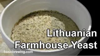 Lithuanian Farmhouse Yeast - Basic Brewing Video - September 28, 2018