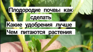 Плодородие Почва для огорода Какие удобрения лучше для огорода