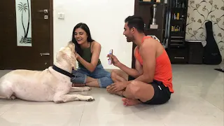 Malti Chahar & Deepak Chahar | Happy Rakshabandhan