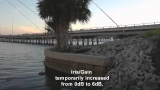 Charlotte Harbor At Sunset, Port Charlotte, Florida 1080P HD