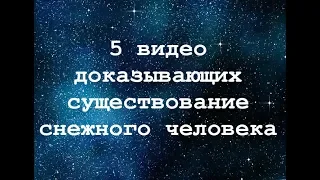 5 случаев наблюдения снежного человека! Самые обсуждаемые видео бигфута, йети и гоминида.