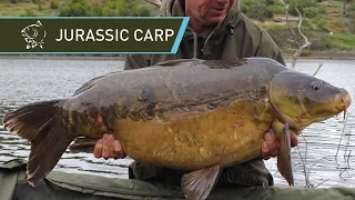 Kevin Nash and Alan Blair Carp Fishing JURASSIC CARP in La Gomera - Nash 2014 Carp Fishing DVD Movie