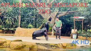 [4K HD] || SINGAPORE ZOO || SPLASH SAFARI FULL SHOW ||