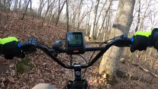 Fat Bike in the Woods BBSHD 1000w 52v 20ah Mongoose Dolomite