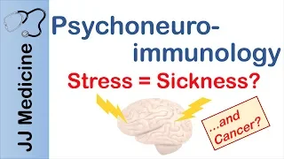 Psychoneuroimmunology | How Stress and Depression Make You Sick