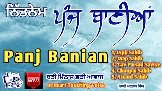 Panj Banian Path Full | Vol 08 | Nitnem Sahib Full Path | Japji Sahib Path Full | Bhai Avtar Singh.