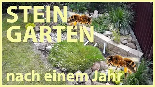 Insektenfreundlichen 🐝 Steingarten selber anlegen - nach einem Jahr