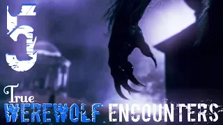5 TRUE Werewolf Ecounters