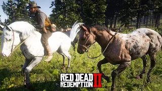 O domador de cavalos - DOMANDO O APPALOOSA - Red Dead Redemption 2