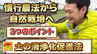 【自然栽培220】雑草との競争をさけるには○○が有効だよ！土の肥毒を理解し、土の清浄化促進！！