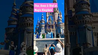 Elsa,Anna,Olaf, Minnie & Mickey at Disney's Magic Kingdom