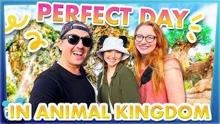 The PERFECT DAY in Disney's Animal Kingdom
