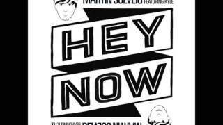 Martin Solveig & The Cataracs feat. Kyle - Hey Now ( J&J Project)