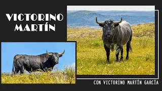 REPORTAJE | VICTORINO MARTIN