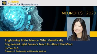 Lin Tian, Ph.D. — What Genetically Engineered Light Sensors Teach Us About the Mind