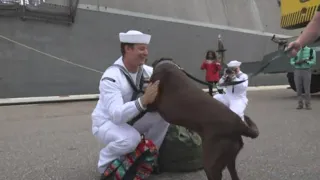 USS Milwaukee sailor returns from deployment, greeted by his dog in Mayport reunion 😍