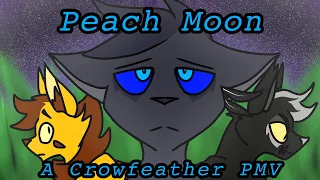 Crowfeather PMV: Peach Moon