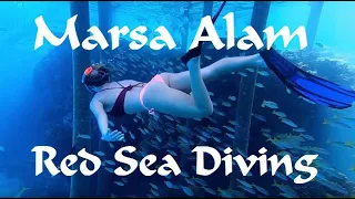 Marsa Alam - Red Sea Diving 4K