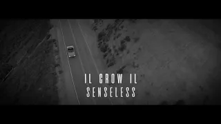 IL CROW IL - SENSELESS