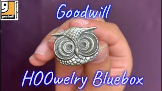 Goodwill Bluebox #6: Mystery Jewelry Box Unboxing from Florida PLUS our new gem tester!