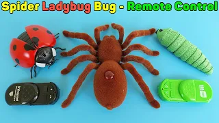 Spider, Ladybug, Bug Infrared Remote Control RC | Unboxing And Review